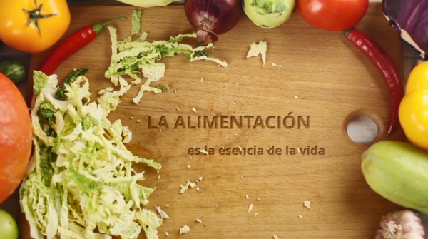 16 de octubre, Día Mundial de la Alimentación